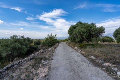 Finca i Bitem, Tarragona, Bitem - € 22 000 | Ref: 875 - foto 16