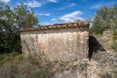 Finca i Bitem, Tarragona, Bitem - € 22 000 | Ref: 875 - foto 5