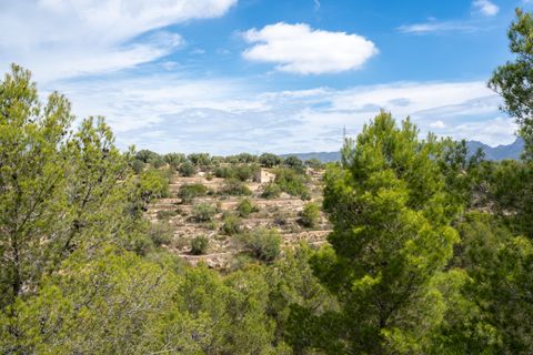 Finca i Bitem, Tarragona, Bitem - € 22 000 | Ref: 875 - foto 15
