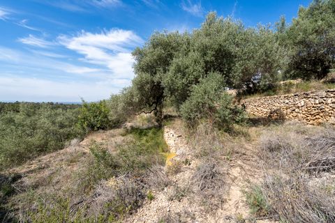 Finca i Bitem, Tarragona, Bitem - € 22 000 | Ref: 875 - foto 11