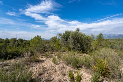 Finca i Bitem, Tarragona, Bitem - € 22 000 | Ref: 875 - foto 13