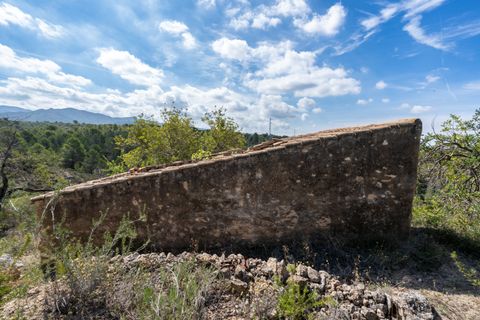 Finca i Bitem, Tarragona, Bitem - € 22 000 | Ref: 875 - foto 4