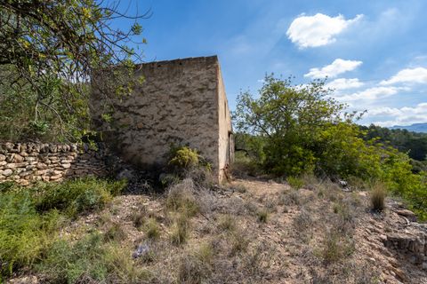 Finca i Bitem, Tarragona, Bitem - € 22 000 | Ref: 875 - foto 3