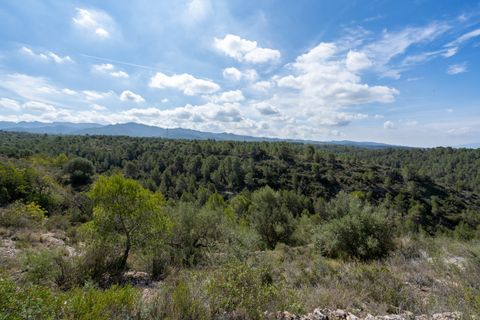 Finca i Bitem, Tarragona, Bitem - € 22 000 | Ref: 875 - foto 14