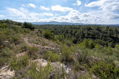Finca i Bitem, Tarragona, Bitem - € 22 000 | Ref: 875 - foto 8