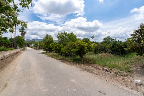 Finca i Bitem, Tarragona, Bitem - € 20 000 | Ref: 876 - foto 6