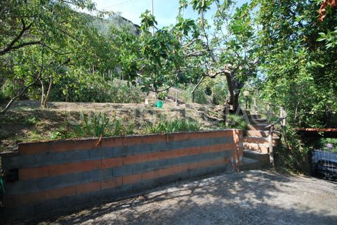 Byhus i Luni, La Spezia, Luni - € 100.000 | Ref: 000687 - foto 17
