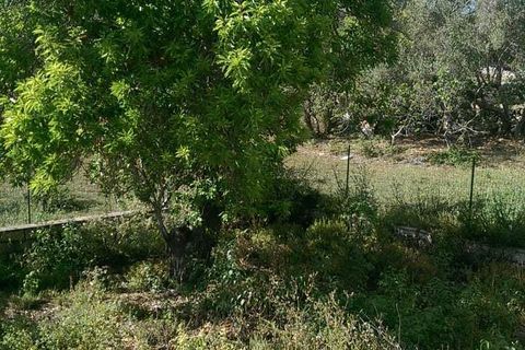 Villa i Ragusa, Ragusa, Ragusa - € 55.000 | Ref: CS010 - foto 3