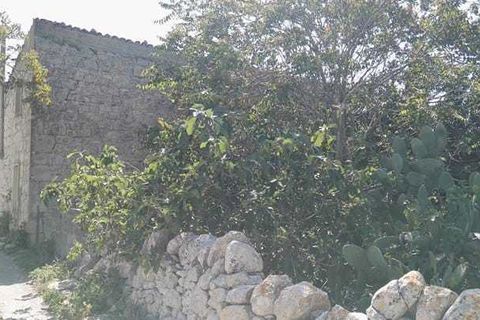 Villa i Ragusa, Ragusa, Ragusa - € 55.000 | Ref: CS010 - foto 9