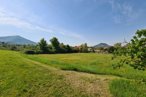 Terra a Vo', Padua, Vo' - € 60.000 | Ref: TER 233 - foto 5