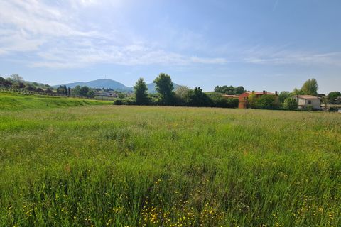 Terra a Vo', Padua, Vo' - € 60.000 | Ref: TER 233 - foto 6