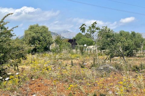 Terrain - Pollenca, Mallorca, Pollenca - € 1 200 000 | Réf : 76992 - photo 2