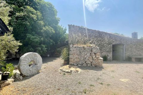 Terrain - Pollenca, Mallorca, Pollenca - € 1 200 000 | Réf : 76992 - photo 4