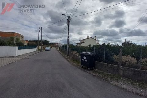 Helårsgrund i Oliveira do Bairro, Aveiro, Oliveira do Bairro - € 57.000 | Ref: 299 - foto 1