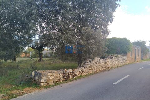 Helårsgrund i Fatima, Santarem, Fatima - € 130.000 | Ref: T1055_2022 - foto 2