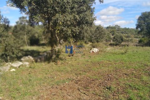 Helårsgrund i Fatima, Santarem, Fatima - € 130.000 | Ref: T1055_2022 - foto 3