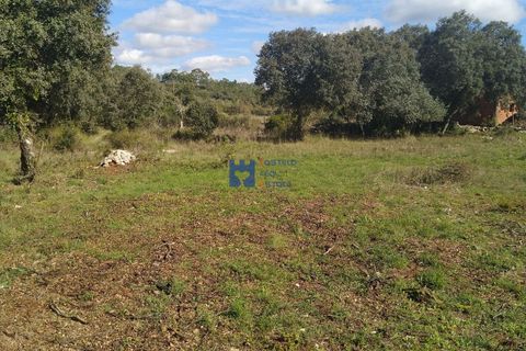 Helårsgrund i Fatima, Santarem, Fatima - € 130.000 | Ref: T1055_2022 - foto 4
