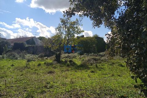Helårsgrund i Fatima, Santarem, Fatima - € 130.000 | Ref: T1055_2022 - foto 5