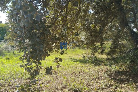 Helårsgrund i Fatima, Santarem, Fatima - € 130.000 | Ref: T1055_2022 - foto 6