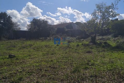 Helårsgrund i Fatima, Santarem, Fatima - € 130.000 | Ref: T1055_2022 - foto 7