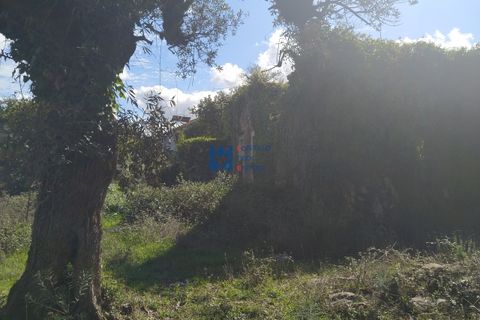 Helårsgrund i Fatima, Santarem, Fatima - € 130.000 | Ref: T1055_2022 - foto 8