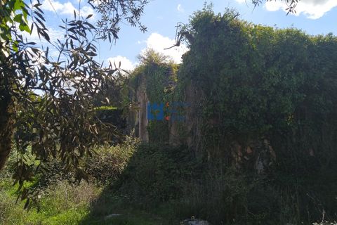 Helårsgrund i Fatima, Santarem, Fatima - € 130.000 | Ref: T1055_2022 - foto 9