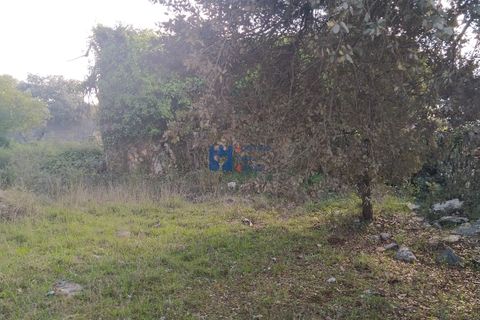 Helårsgrund i Fatima, Santarem, Fatima - € 130.000 | Ref: T1055_2022 - foto 10