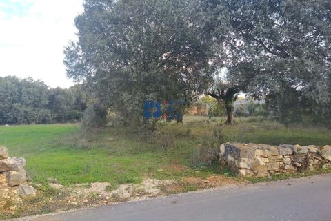 Helårsgrund i Fatima, Santarem, Fatima - € 130.000 | Ref: T1055_2022 - foto 11