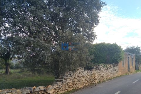 Helårsgrund i Fatima, Santarem, Fatima - € 130.000 | Ref: T1055_2022 - foto 12