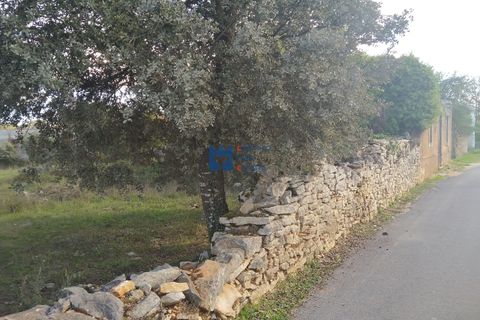 Helårsgrund i Fatima, Santarem, Fatima - € 130.000 | Ref: T1055_2022 - foto 13