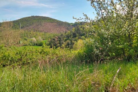 Erhvervsejendom i Amelia, Terni, Amelia - € 45.000 | Ref: 10.... - foto 2
