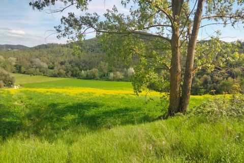 Erhvervsejendom i Amelia, Terni, Amelia - € 45.000 | Ref: 10.... - foto 3