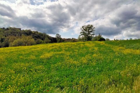 Erhvervsejendom i Amelia, Terni, Amelia - € 45.000 | Ref: 10.... - foto 5