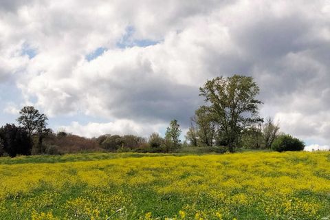 Erhvervsejendom i Amelia, Terni, Amelia - € 45.000 | Ref: 10.... - foto 6