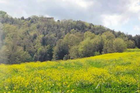 Erhvervsejendom i Amelia, Terni, Amelia - € 45.000 | Ref: 10.... - foto 7