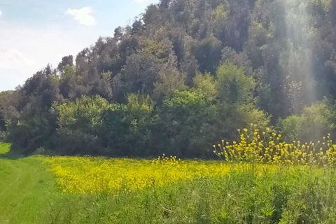 Erhvervsejendom i Amelia, Terni, Amelia - € 45.000 | Ref: 10.... - foto 8