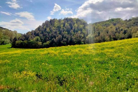 Erhvervsejendom i Amelia, Terni, Amelia - € 45.000 | Ref: 10.... - foto 9