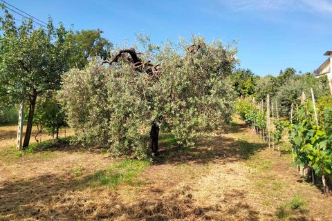 Villa i Amelia, Terni, Amelia - € 425.000 | Ref: 27bis... - foto 15