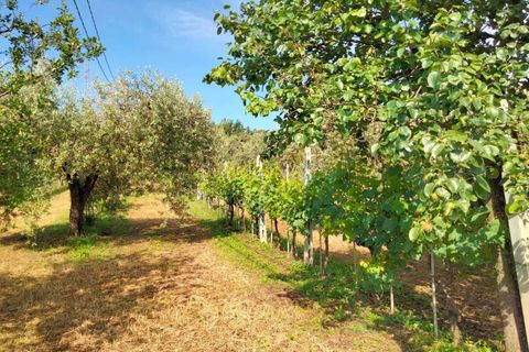 Villa i Amelia, Terni, Amelia - € 425.000 | Ref: 27bis... - foto 14