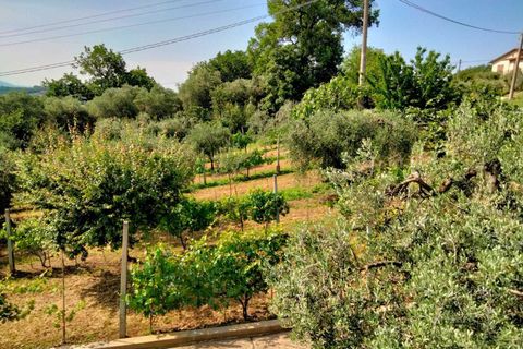 Villa i Amelia, Terni, Amelia - € 425.000 | Ref: 27bis... - foto 22