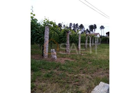 Farm i Moncao, Viana do Castelo, Moncao - € 130.000 | Ref: SAFTI:003414 - foto 3