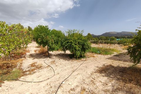 Villa i Sax, Alicante, Sax - € 446.200 | Ref: GA6347 - foto 13