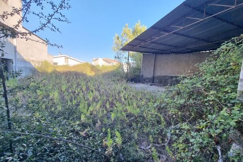 Tomt i Santarem, Santarem, Santarem - € 800 000 | Ref: 22-IV-0077 - foto 5
