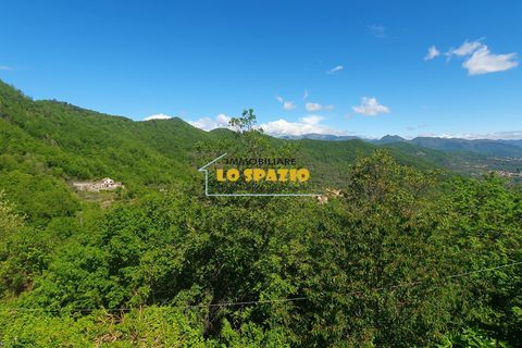 Villa i Testico, Savona, Testico - € 185.000 | Ref: 031 - foto 30