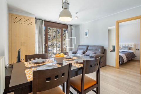 Villa i Canillo, Andorra, Canillo - € 4.500.000 | Ref: AND31605 - foto 31