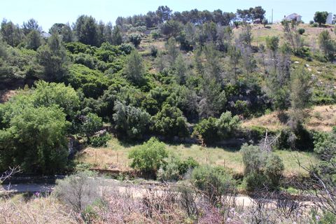 Villa i Cascais, Lisbon, Cascais - € 750.000 | Ref: DH376 - foto 3