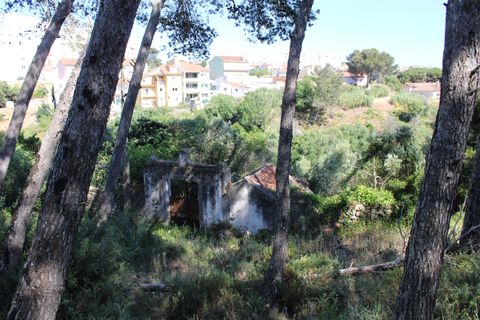 Villa i Cascais, Lisbon, Cascais - € 750.000 | Ref: DH376 - foto 21