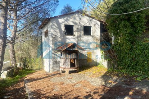 Villa i Bolano, La Spezia, Bolano - € 398.000 | Ref: 216 - foto 7