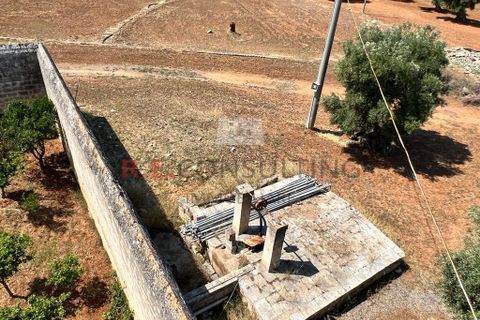 Villa i Ostuni, Brindisi, Ostuni - € 900.000 | Ref: 204 - foto 4