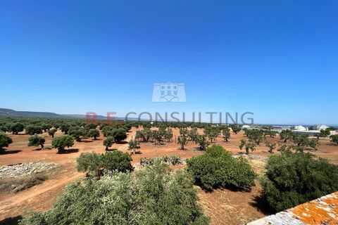 Villa i Ostuni, Brindisi, Ostuni - € 900.000 | Ref: 204 - foto 5